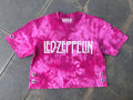 LED ZEPELLIN - Top Crop